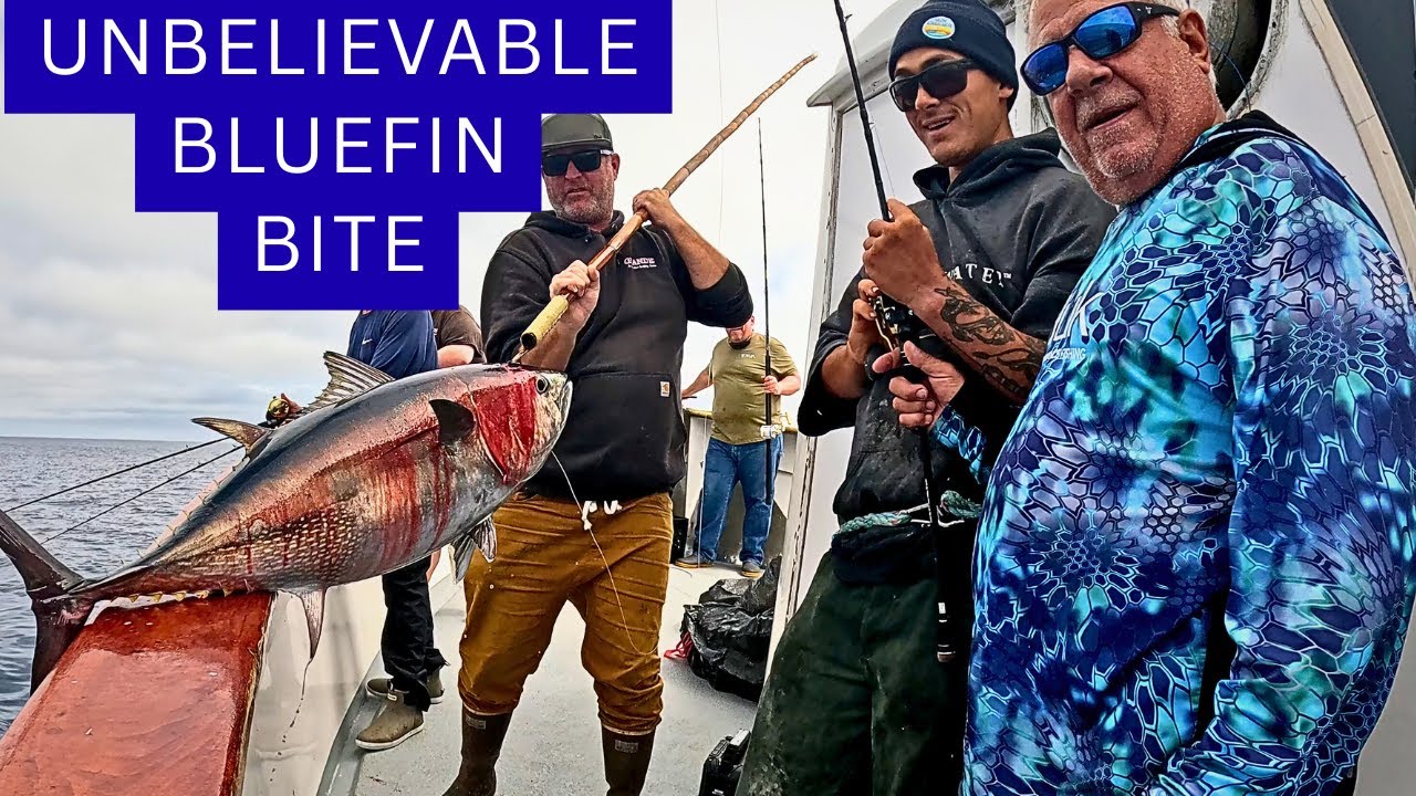 Hooked Up Again – Grande Sportfishing Chasing Monster Bluefin Tuna