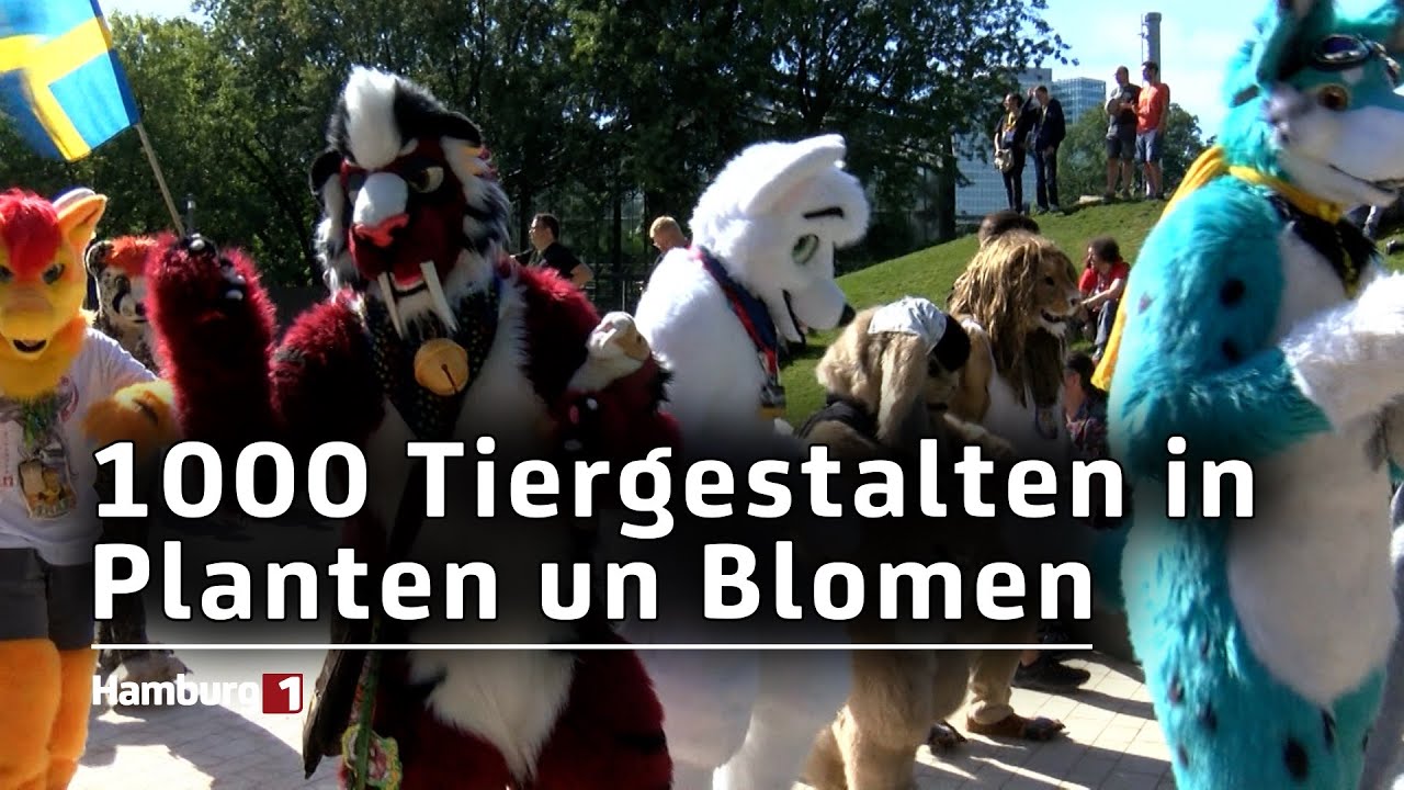 Furries in Hamburg: Das hat es mit den Tiergestalten auf sich