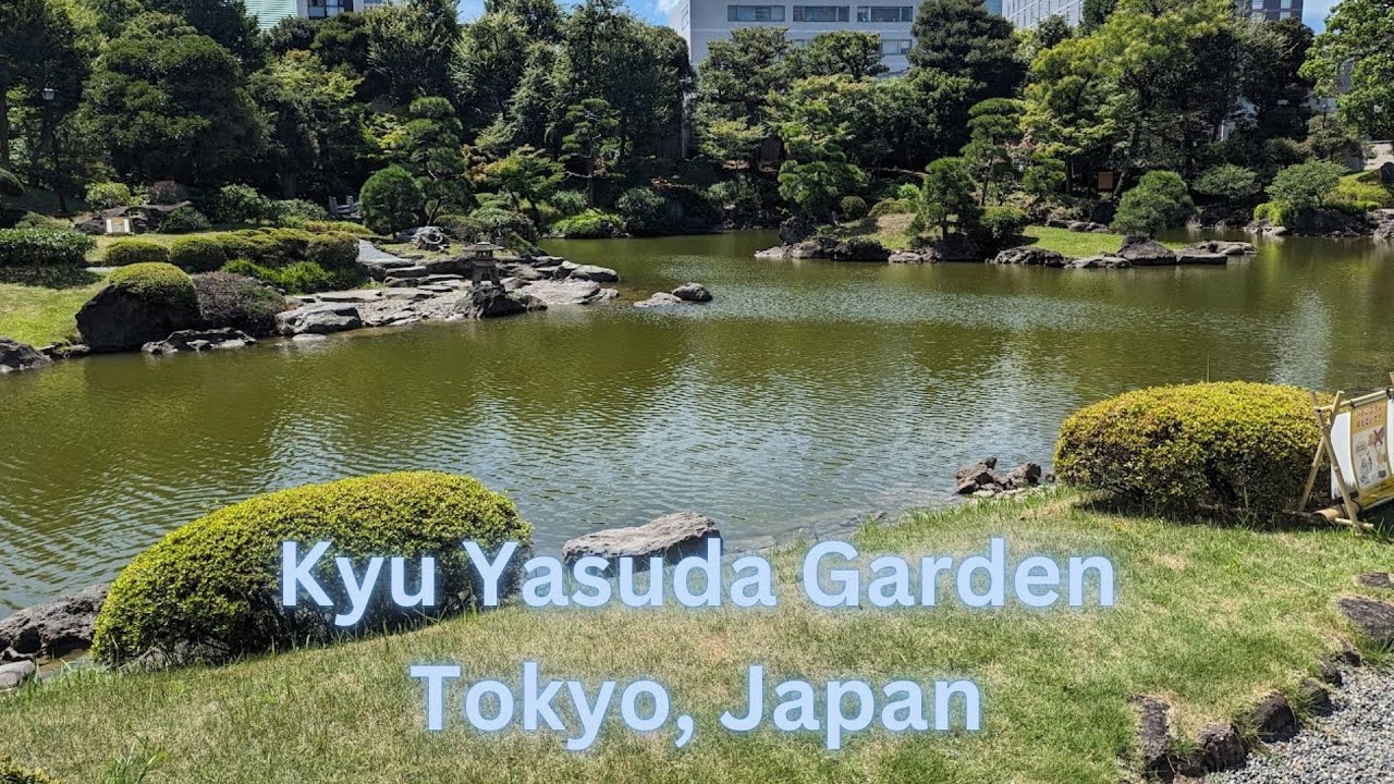 Walking in Japan - Kyu Yasuda in Toronto, 4K