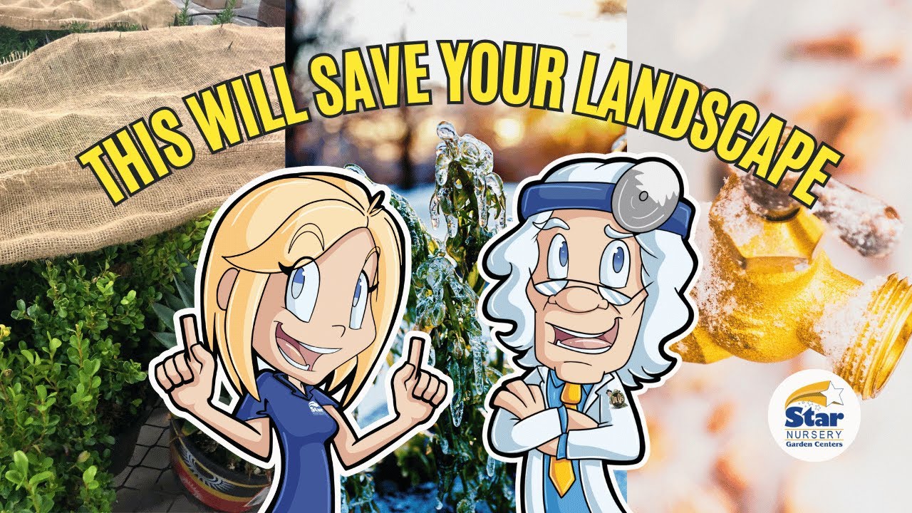 Dr. Q's Expert Guide to Winterizing