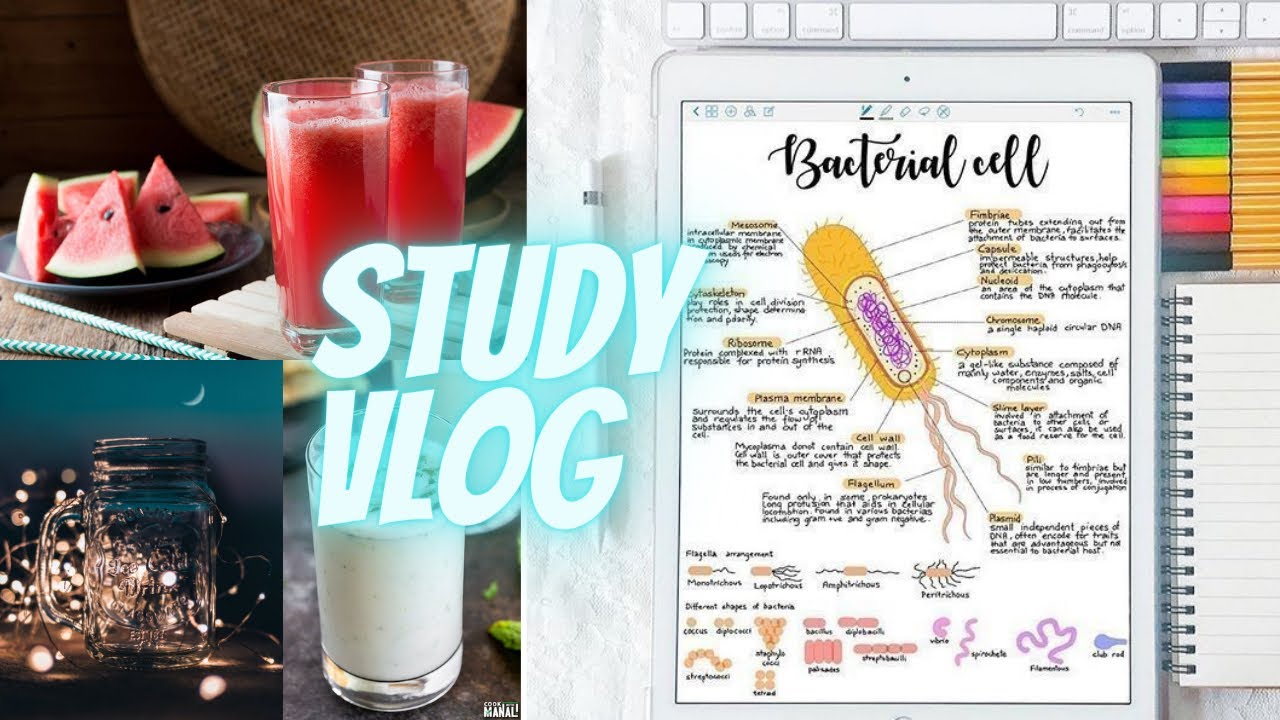 #studyvlog #studyvlogindia Productive study routine | Study vlog 😎 | Daily vlog Indian Student