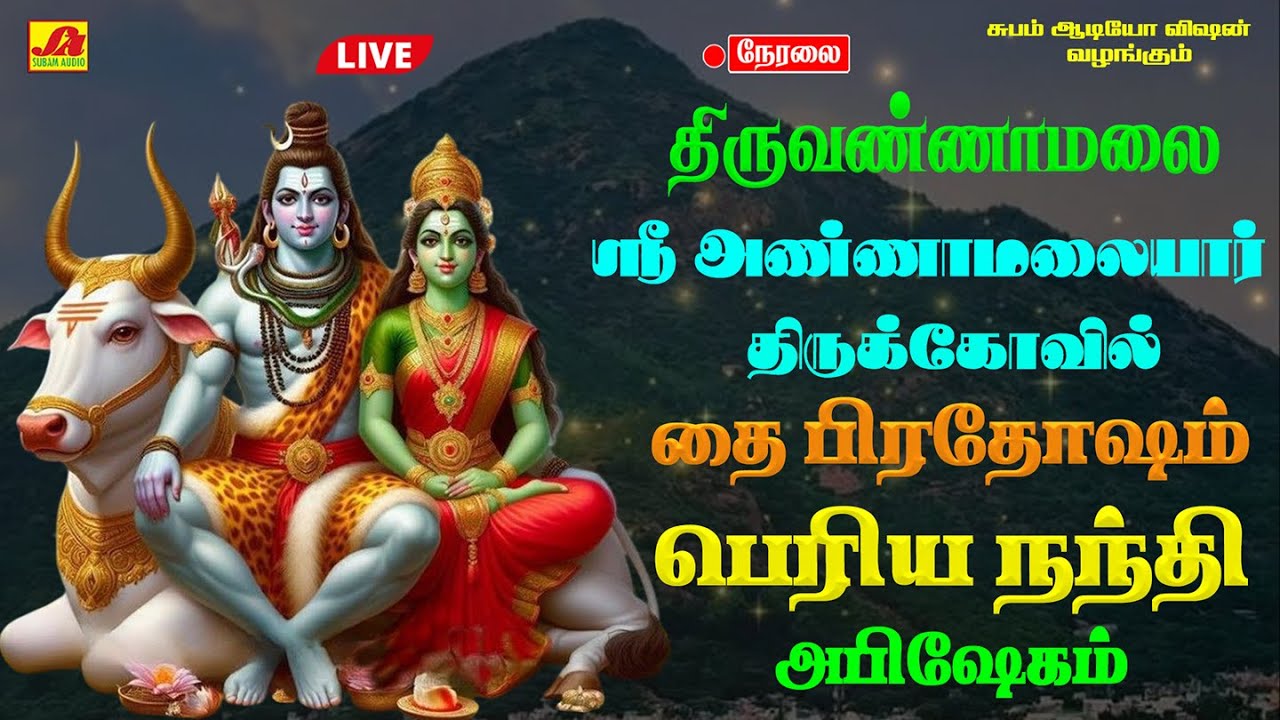 🔴LIVE  திருவண்ணாமலை நந்திபகவான் தைப்பூச பௌர்ணமி பிரதோஷவழிபாடு  #prodhashamlivetelecast #நேரலை
