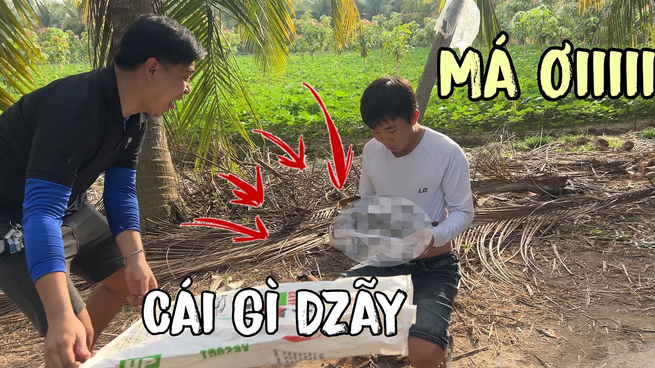 Bài Mưu Troll Hai Cha Già Nhưng Đâu Ngờ Hai Ông Cao Tay Hơn