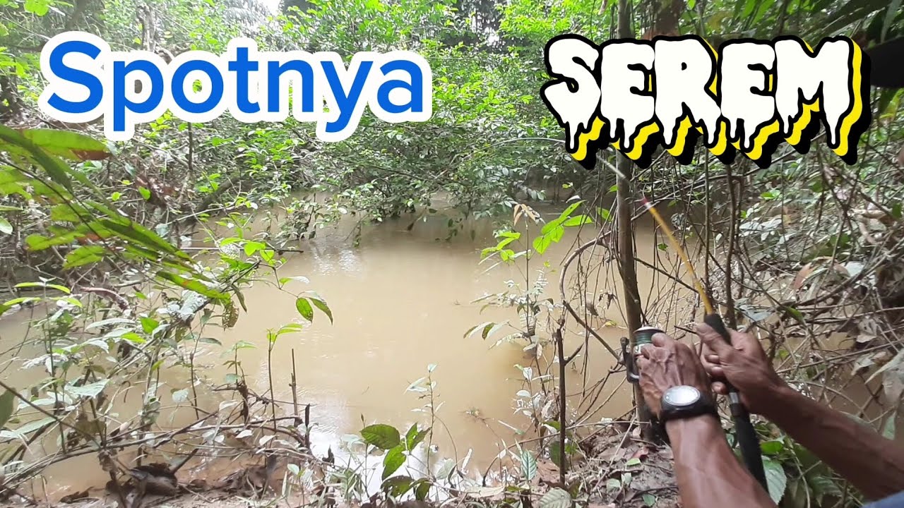 Mancing baung di spot serem
