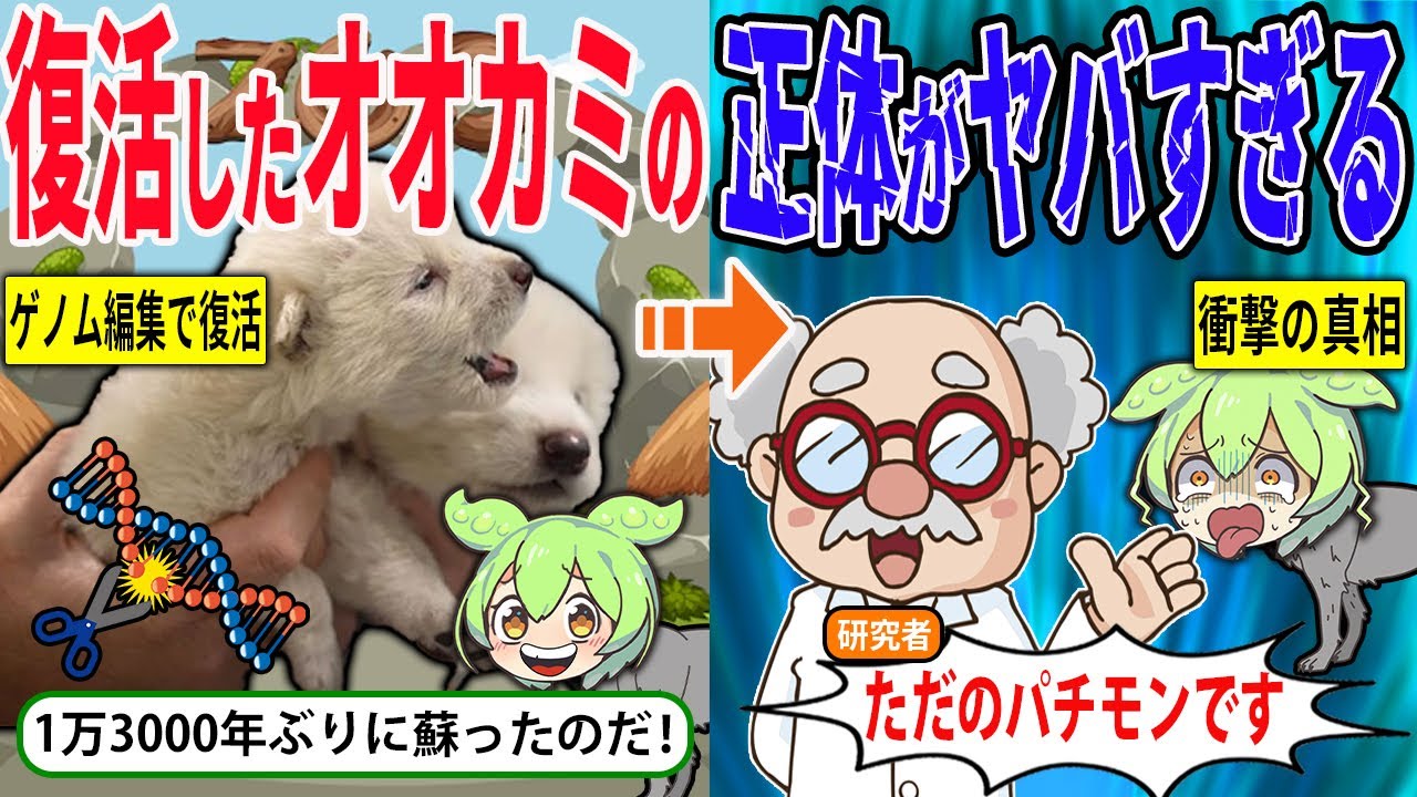 絶滅したダイアウルフ復活！→実はこれ偽物です【ずんだもん＆ゆっくり解説】