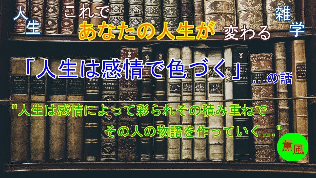 【人生の雑学】「人生は感情で色づく」という雑学について、人生は感情が重なった時、色を帯び始めるのです。同じ景色でも、感情が違えば別の世界になる。そんな話をしてみたいと思います。