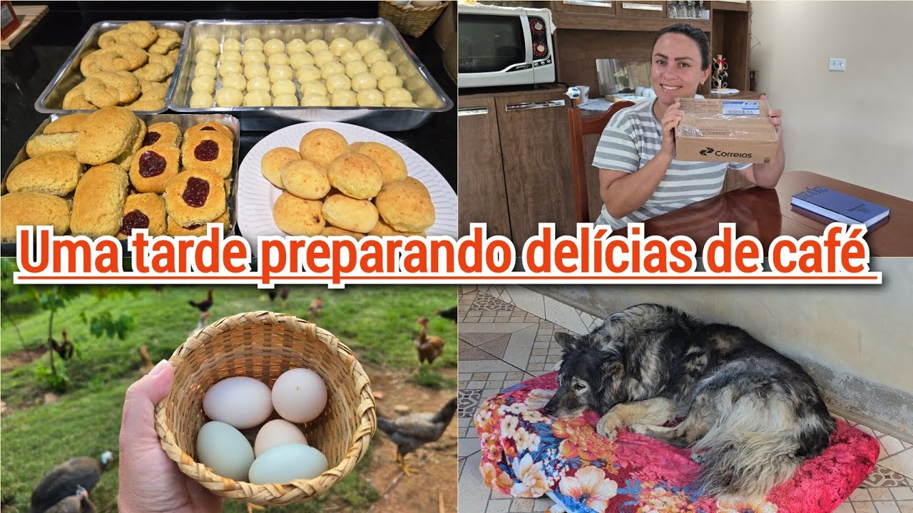 LASSIE SE FOI😔BOLACHAS COM QUEIJO/GOIABADA/ROSQUINHA+P&Atilde;O DE QUEIJO MINEIRO+RECEBIDOS+COLHEITA DE OVO