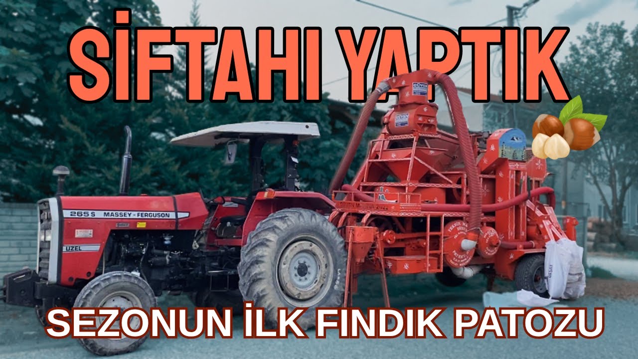 FINDIK PATOZU NASIL ÇALIŞIR ? KENDİ REKORUMUZU KIRDIK ! Massey Ferguson 265s