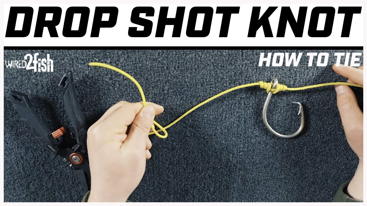 How to Tie a Drop Shot Knot