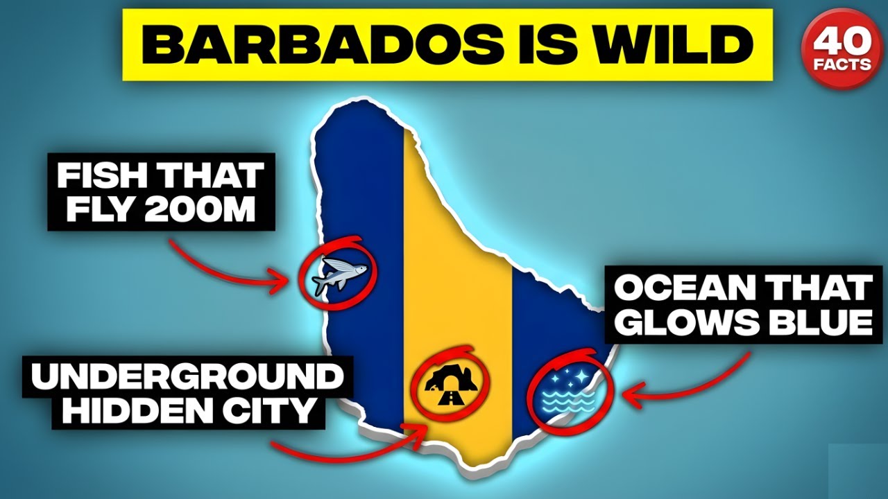 Barbados Facts That Sound Fake (They're Not)
