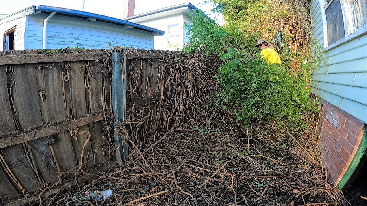Garden Catastrophe Cleared | You Have Never Seen ANYTHING Like This 😮😱