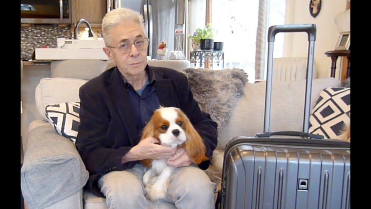 Going To The Dog Show With Jamba