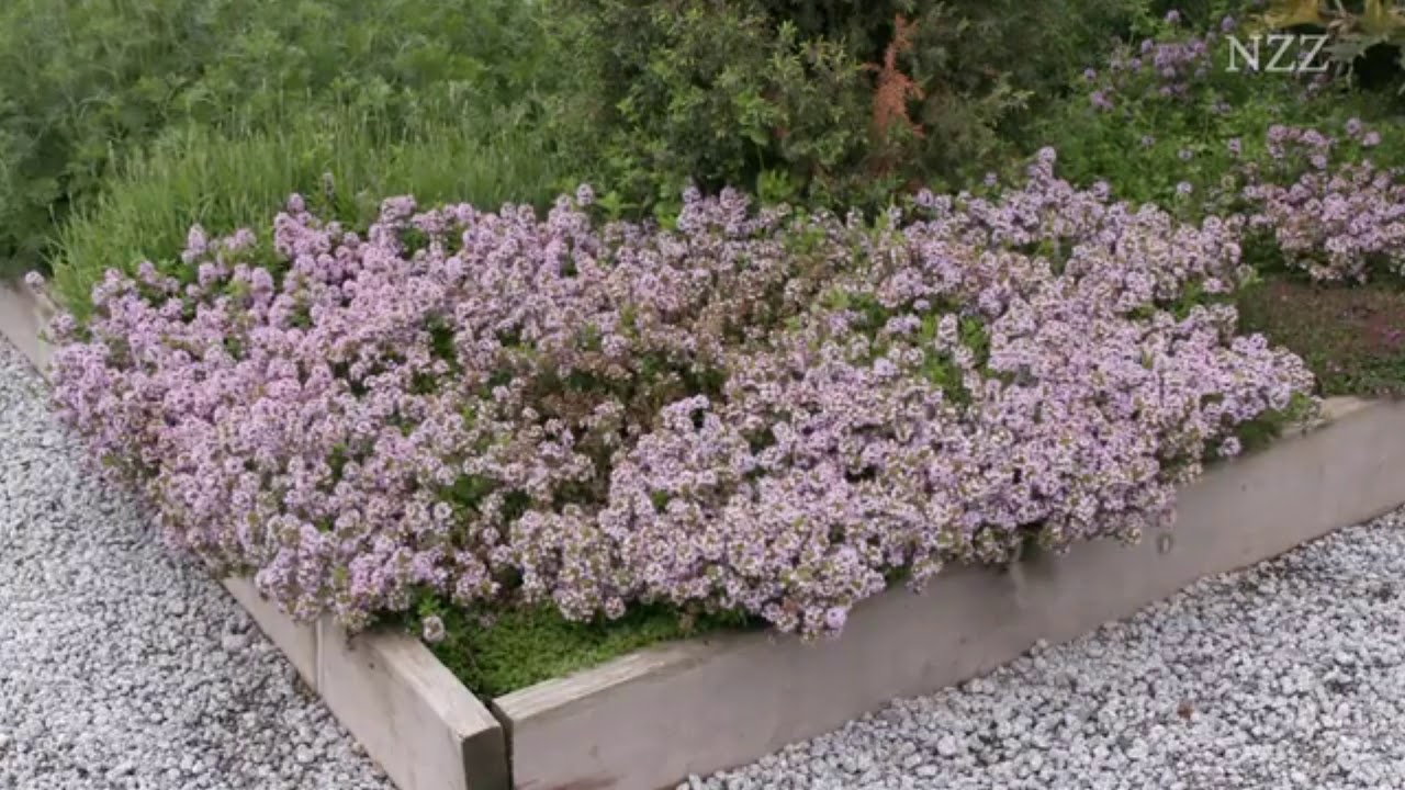 Klostergarten aus dem Film -Heilen mit Pflanzen Phytotherapie- NZZ Format Frei-Berthoud