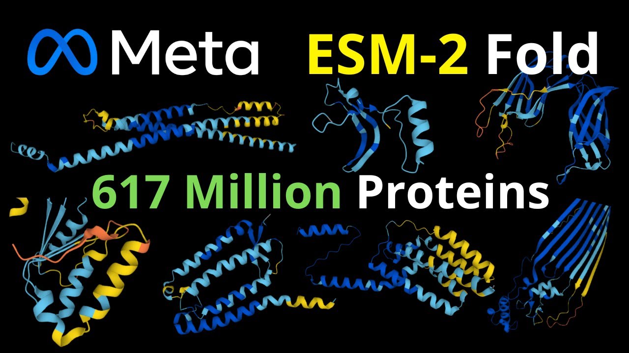 Meta ESM-2 Fold - AI faster than Alphafold 2