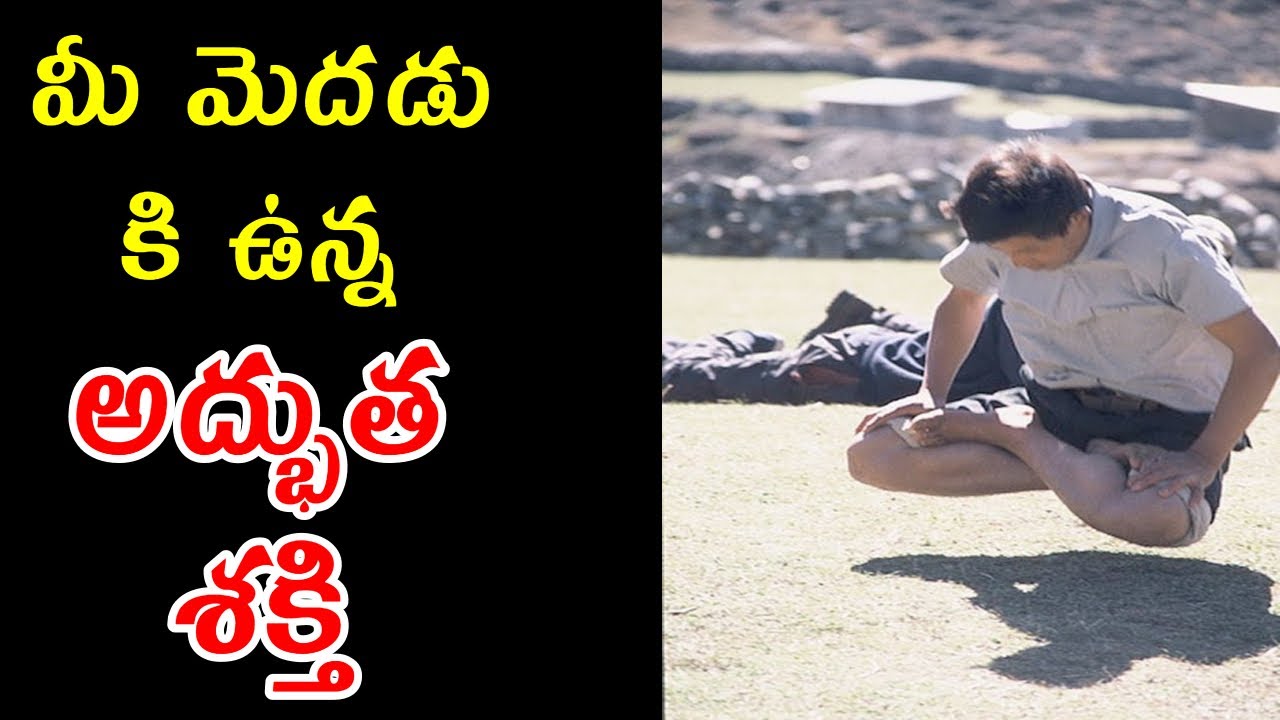 మీ మెదడు కి ఉన్న అద్భుత శక్తి | THE AMAZING POWER OF YOUR MIND IN TELUGU