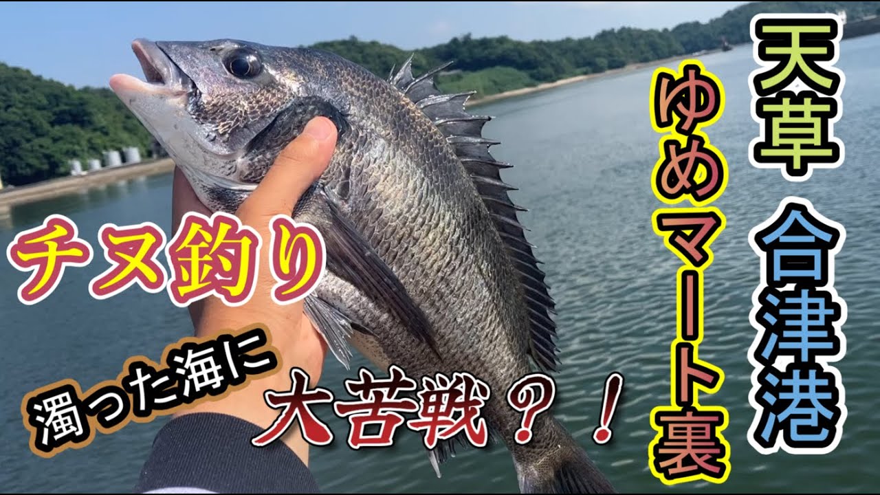 【天草】合津港の【ゆめマート裏】でチヌ釣り！たまにはこういう日も・・・