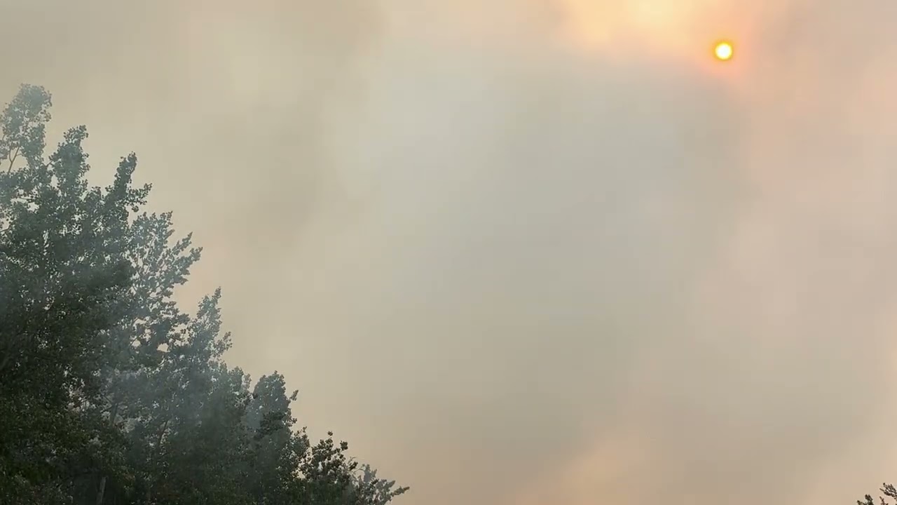 FIreline view of /  Eastern edge of Bonanza Creek by mile post 333 on the afternoon of July 5th 2025