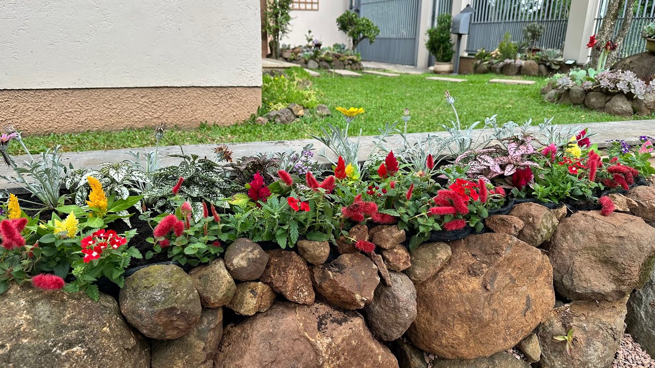 5 Plantas de MEIA SOMBRA para COLORIR seu JARDIM o ano todo