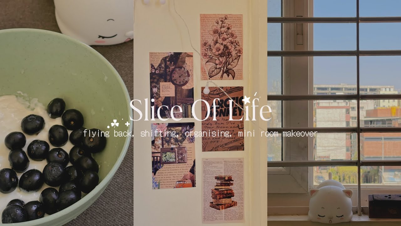 living alone vlog ⋆˚｡︎ 🎐 ✦︎ flying back, shifting to new pg, mini room makeover vlog 🧸