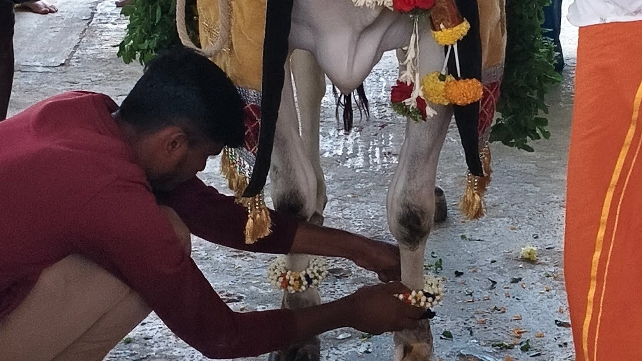 BIJAPUR COUPLES 🥰 is live! #viral #live #livevideo #livestream 