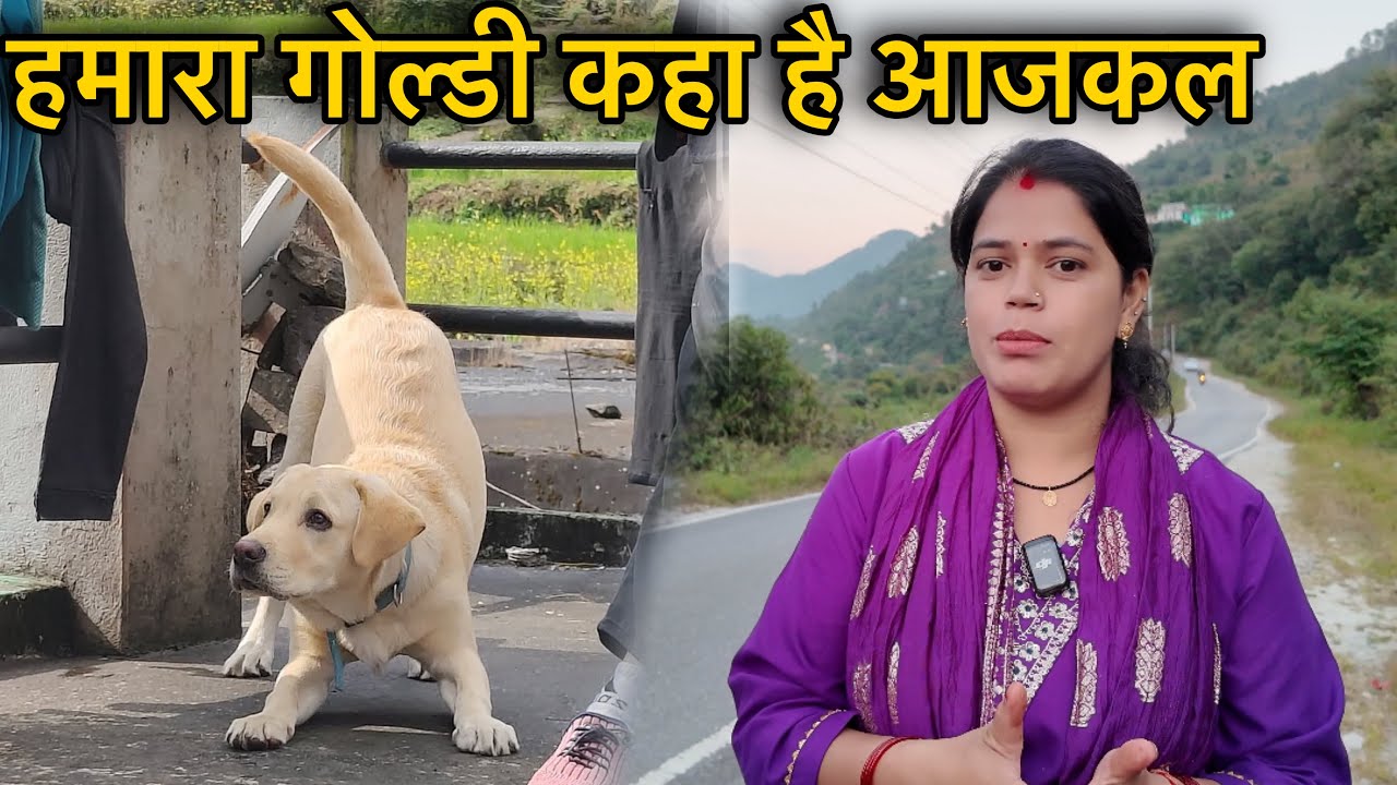 हमारा Goldi कहा है आजकल 😳 एक गड़बड़ी हो गई | Mayank Bhumi Vlogs 