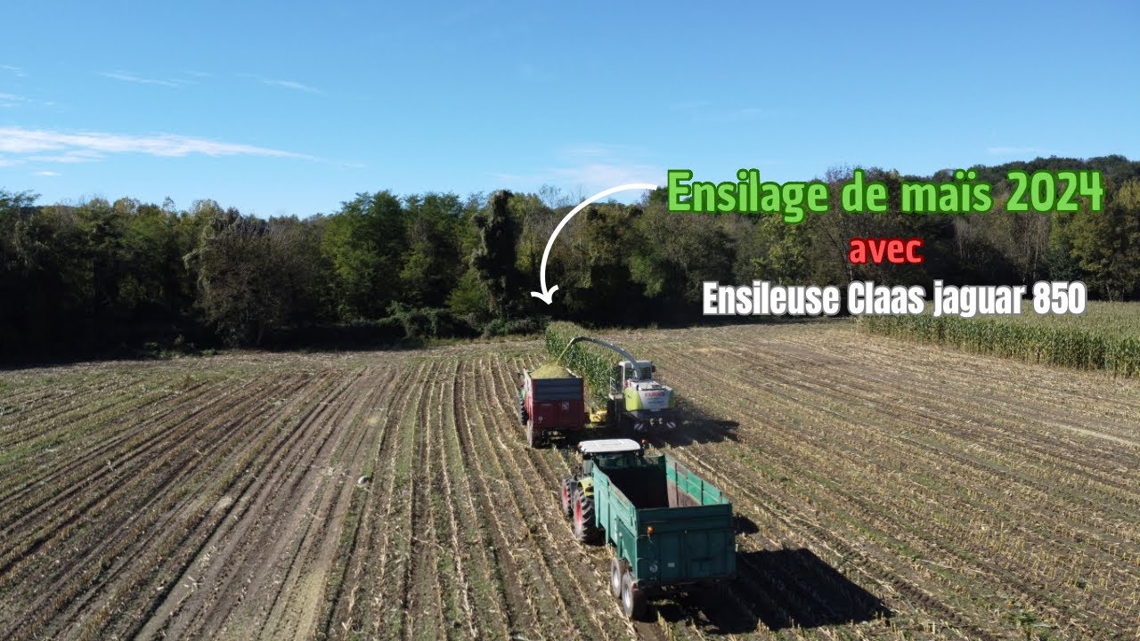 ENSILAGE DE MAÏS 2024 avec une CLAAS JAGUAR 850 avec cueilleur de 6 RANG/  DEUTZ FAHR/ MASSEY/ CLAAS