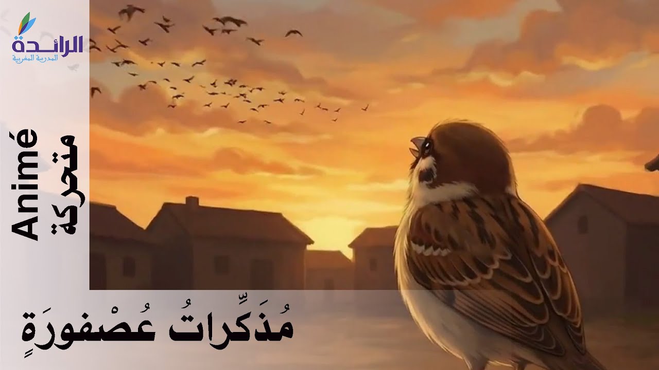حكاية مُذَكِّراتُ عُصْفورَةٍ - المستوى الثالث / متحركة Animé