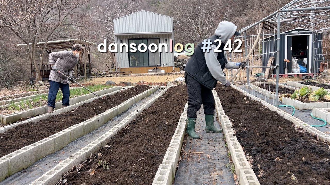 SUB 단순로그242 추운 겨울이 지나고 따스한 봄이 오면 생기는 일 vlog