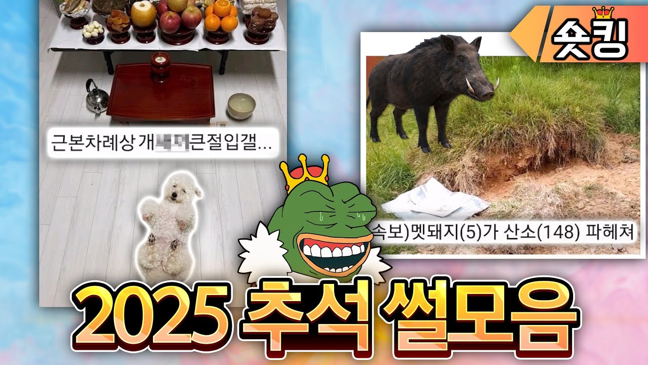 2025 싱글벙글 명절 썰 모음ㅋㅋㅋ 🌕 - [숏킹]