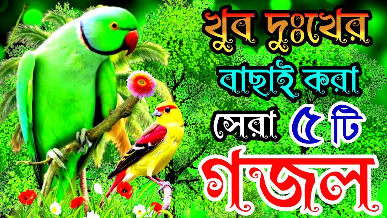 খুবই দুঃখের হৃদয় ছোঁয়া সেরা ৫টি গজল |বাংলা বাছাইকৃত গজল🔥 |New Islamic Best Song |New Gazal | Gojol