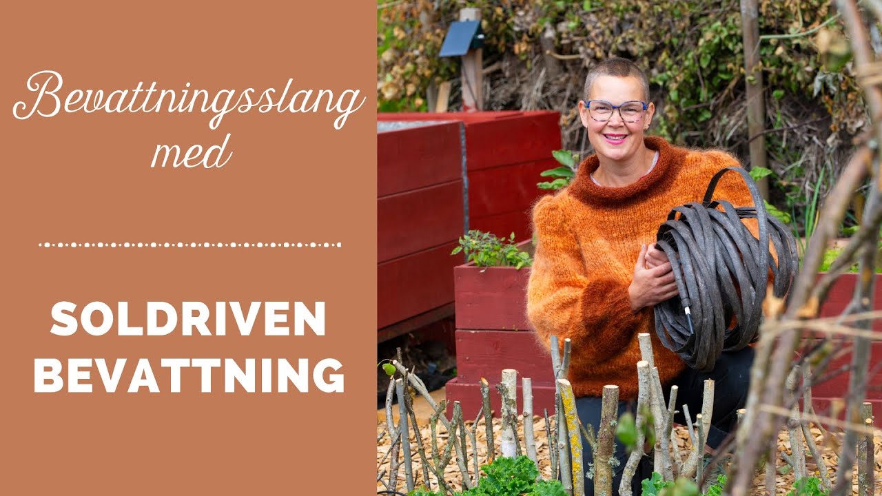 Soldriven bevattning i Skillnadens Trädgård - bevattningsslangen