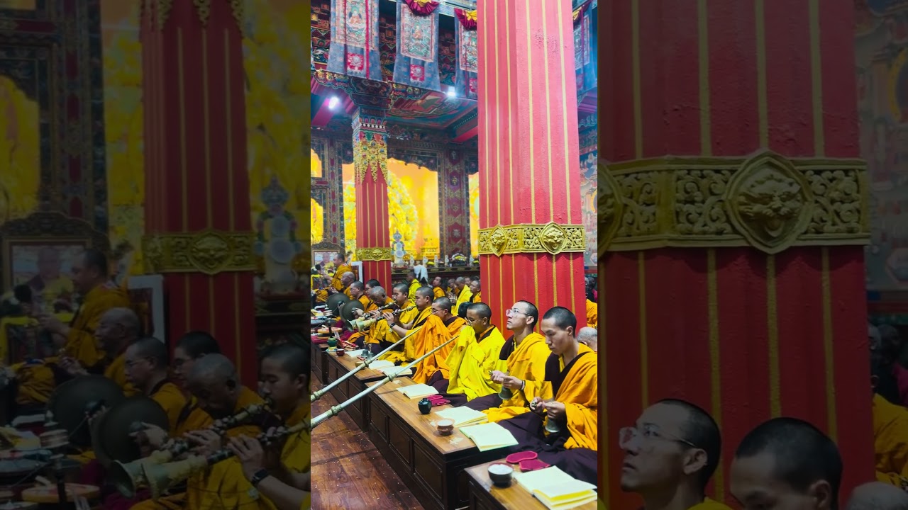 World peace puja 2026 #youtubeshorts #lifeisbutadream #travel #buddha #lordbuddha #buddhaamitabha