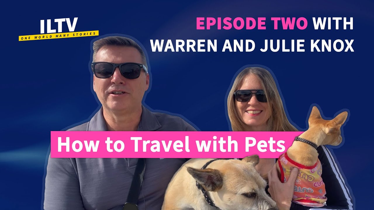 How to Travel With Pets