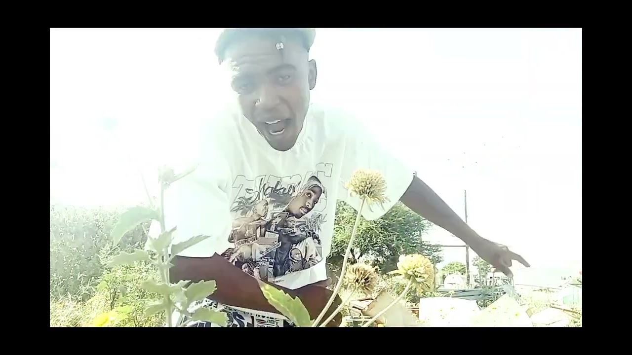 tMtee _Kwaito freestyle _video 