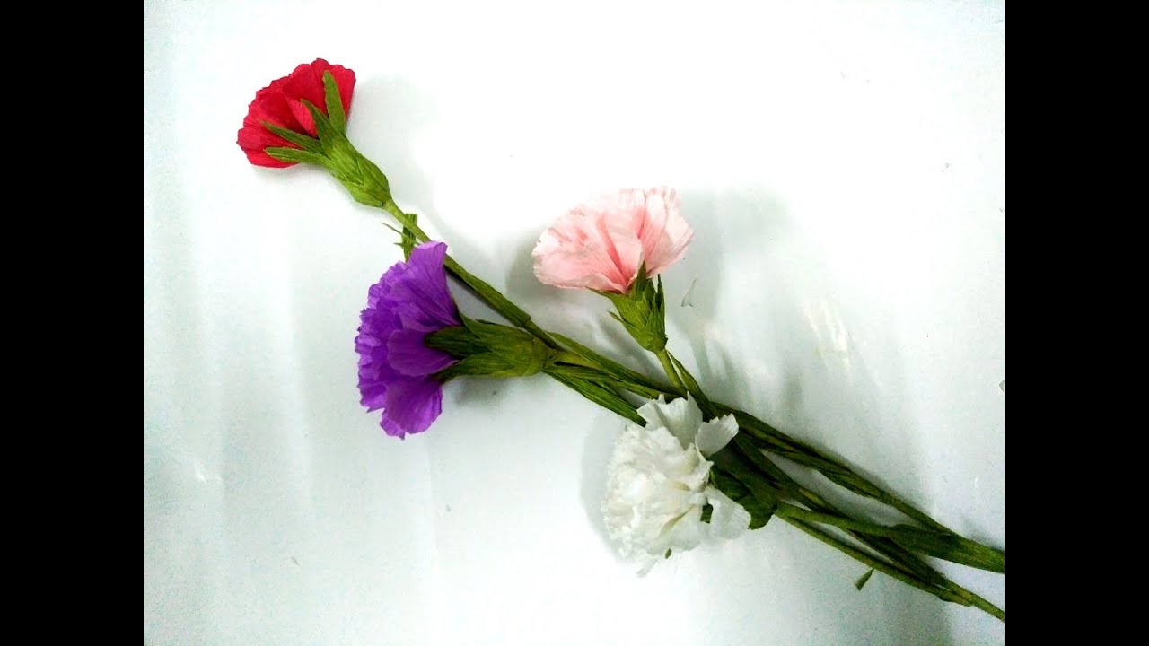 D.I.Y - How to make paper flower - carnations - Làm hoa cẩm chướng bằng giấy nhún