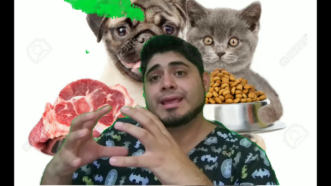 Sabías qué.... no es bueno combinar las croquetas y la dieta casera para tu mascota??
