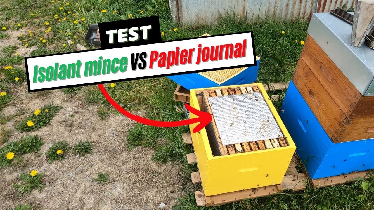 Test : Isolant mince VS Papier journal pour isoler le corps de la hausse au printemps