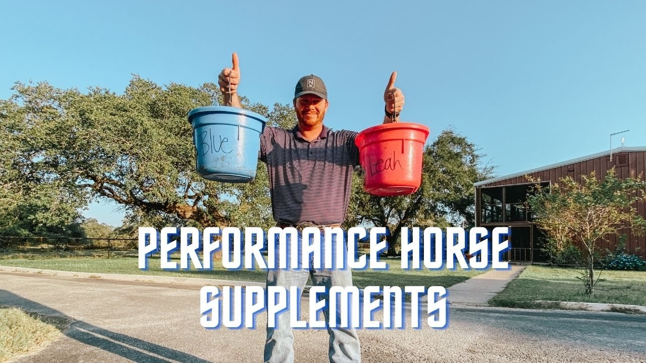 Horse SUPPLEMENTS! // Horse VLOG!