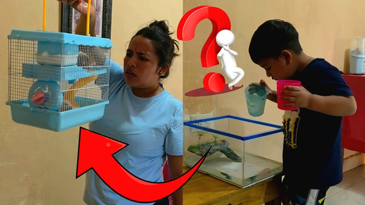 🚨Ver pa' Creer! YAKI Y Jeremy Muestran todas sus mascotas 🤯