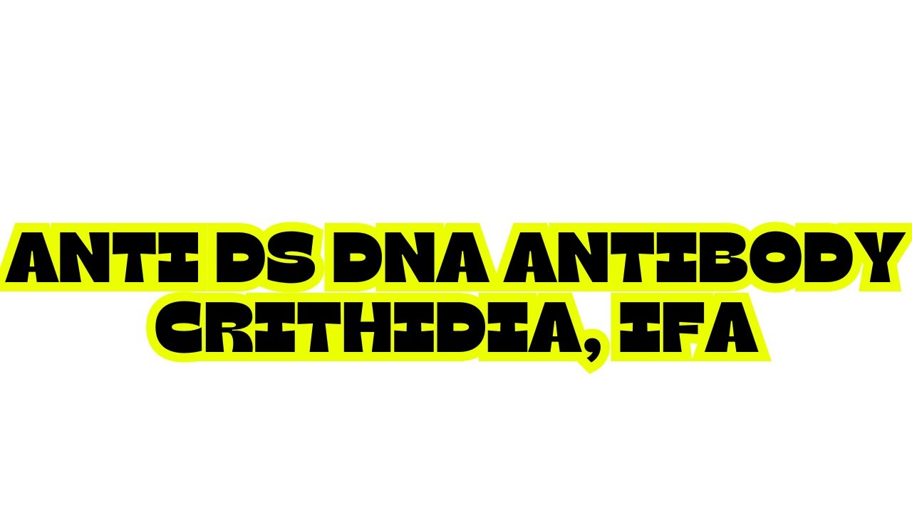 ANTI ds DNA ANTIBODY CRITHIDIA, IFA