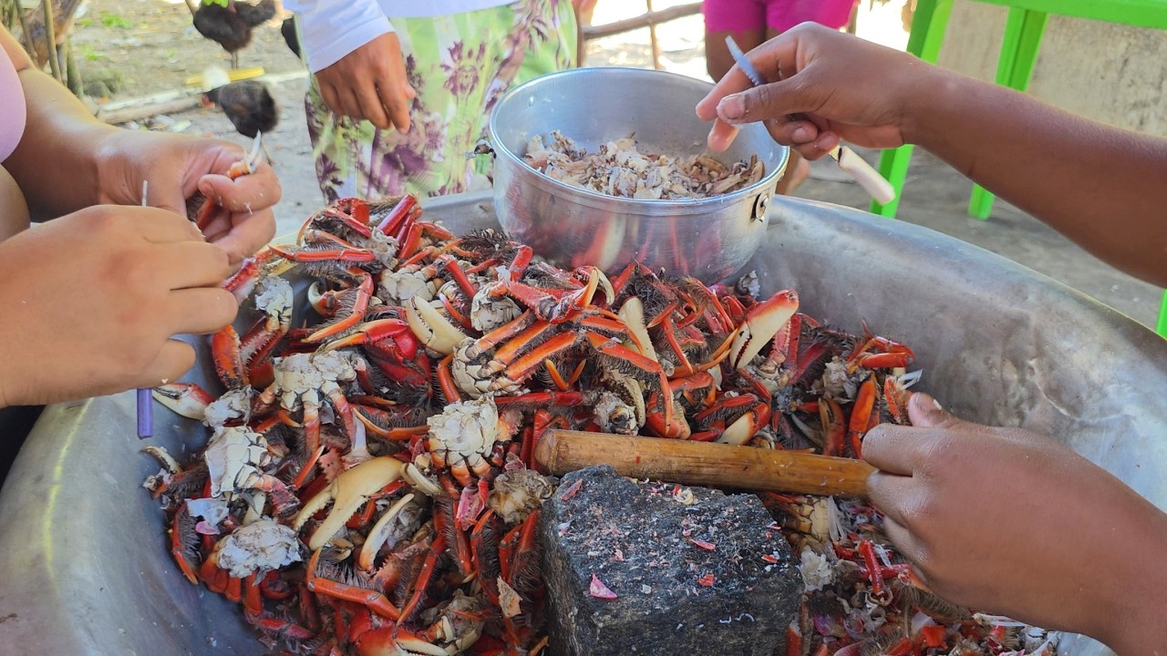 A VIDA DOS MARISQUEIROS EM UMA ILHA ESCONDIDA NA BAHIA