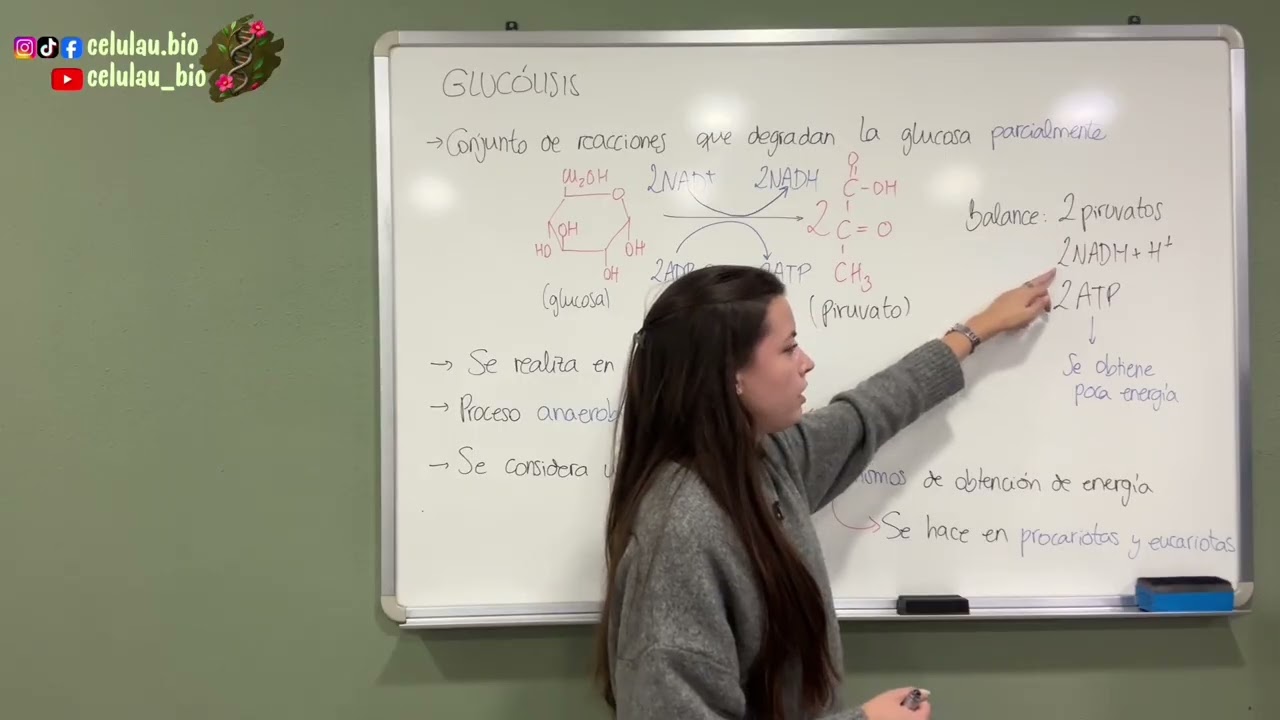 Curso PAU - Vídeo de muestra: La glucólisis