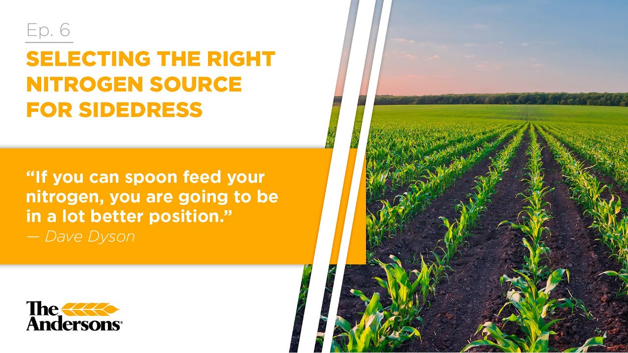 Episode 6 | Selecting the Right Nitrogen Source for Sidedress