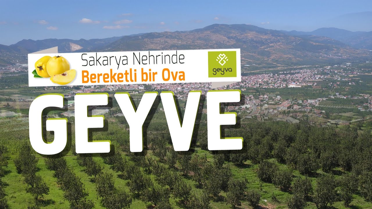 Sakarya Nehri  Kenarında Bereketli Bir Ova GEYVE