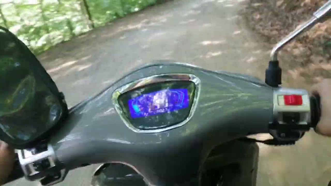 RKS DARK BLUE / BELGRAD ORMANI / RKS SCOTER