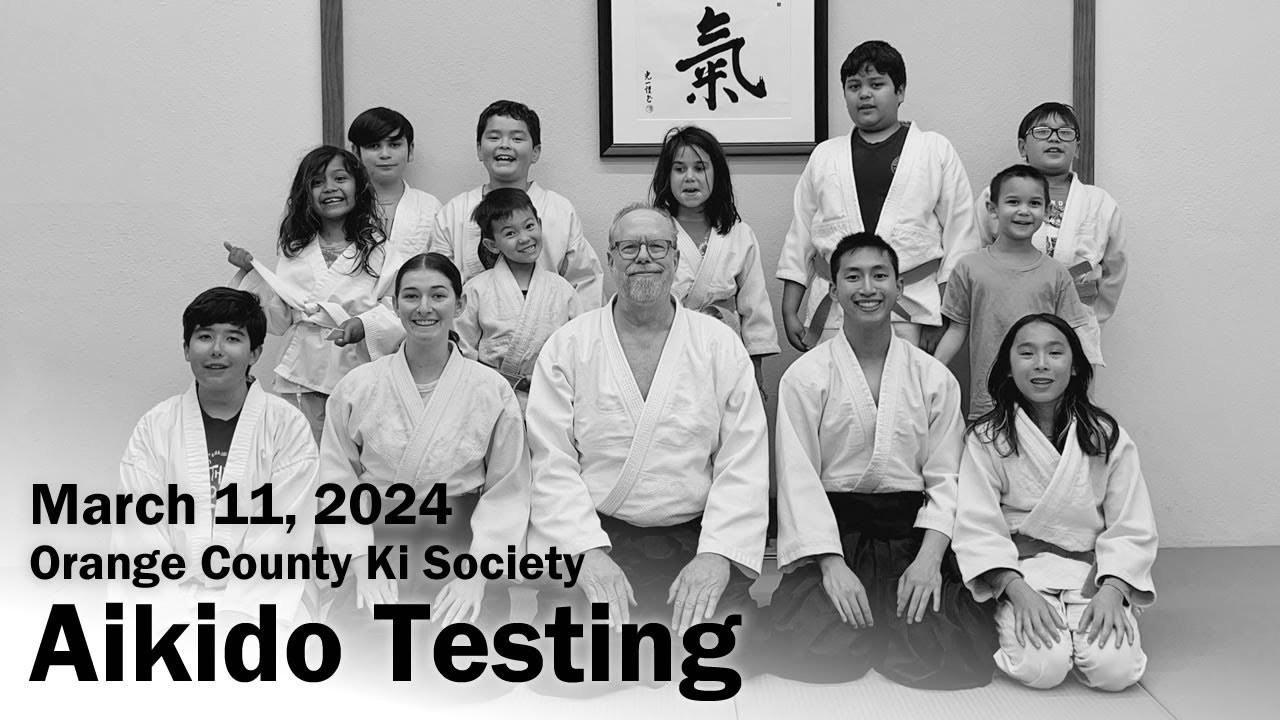 Aikido Testing Highlights - March 11, 2024