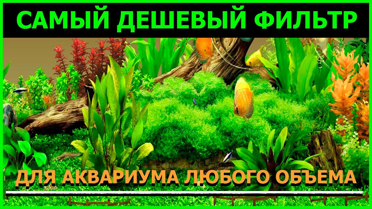 САМЫЙ ДЕШЕВЫЙ ФИЛЬТР ДЛЯ АКВАРИУМА ЛЮБОГО ОБЪЕМА ЗА 5 МИНУТ СВОИМИ РУКАМИ.