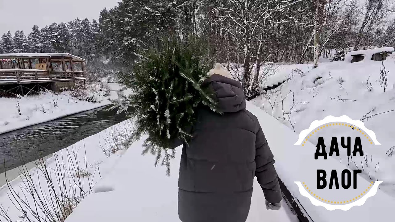 Белоснежная сказка /В лес за ёлкой /Любимые животные