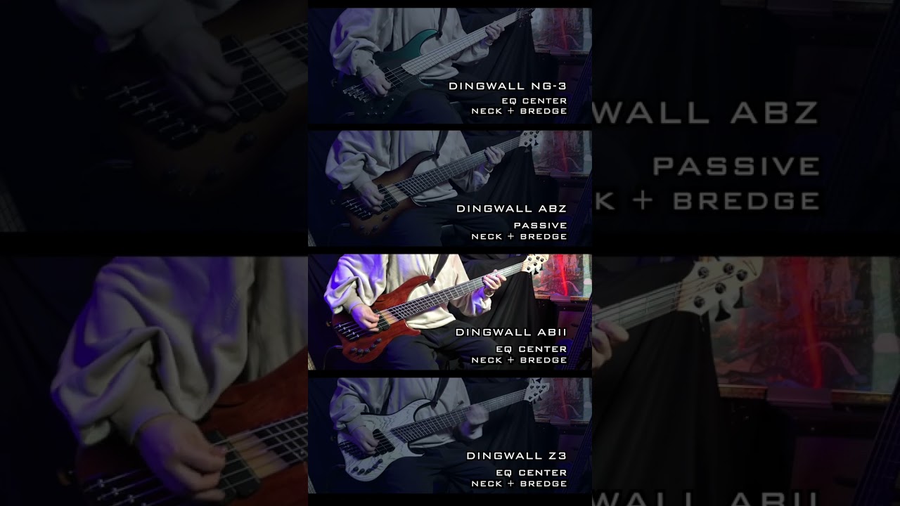 ぼっち・ざ・ろっく！のバンドのベースカバー / Dingwall Bass(NG3, ABZ, ABII, Z3) + Darkglass Amp #bass #베이스 #ベース