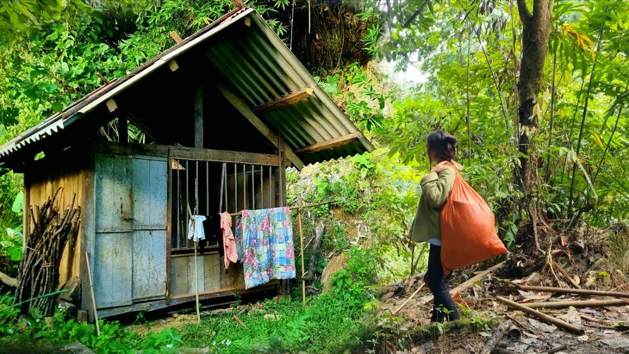 Single Girl: Renovate an abandoned cabin and stay overnight.